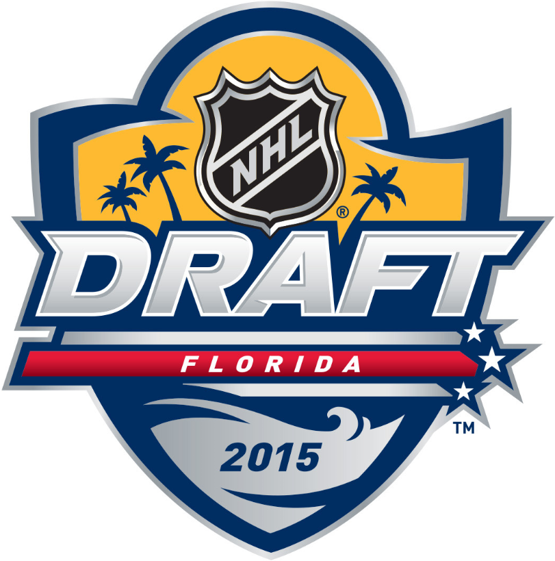 NHL Draft 2015 Primary Logo DIY iron on transfer (heat transfer)